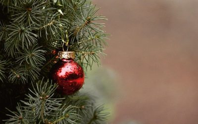 Zo brengt u de kerstsfeer in uw tuin