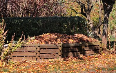 Wat gebeurt er met mijn tuinafval?