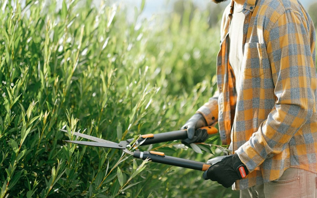 3 redenen om je tuin te laten onderhouden door een hovenier