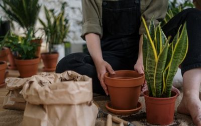 4 tips voor het inrichten van een kleine stadstuin